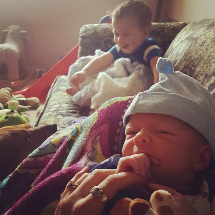 IMG_20170202_115510_020